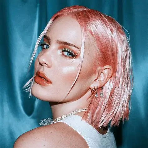 Anne-Marie Before Fame