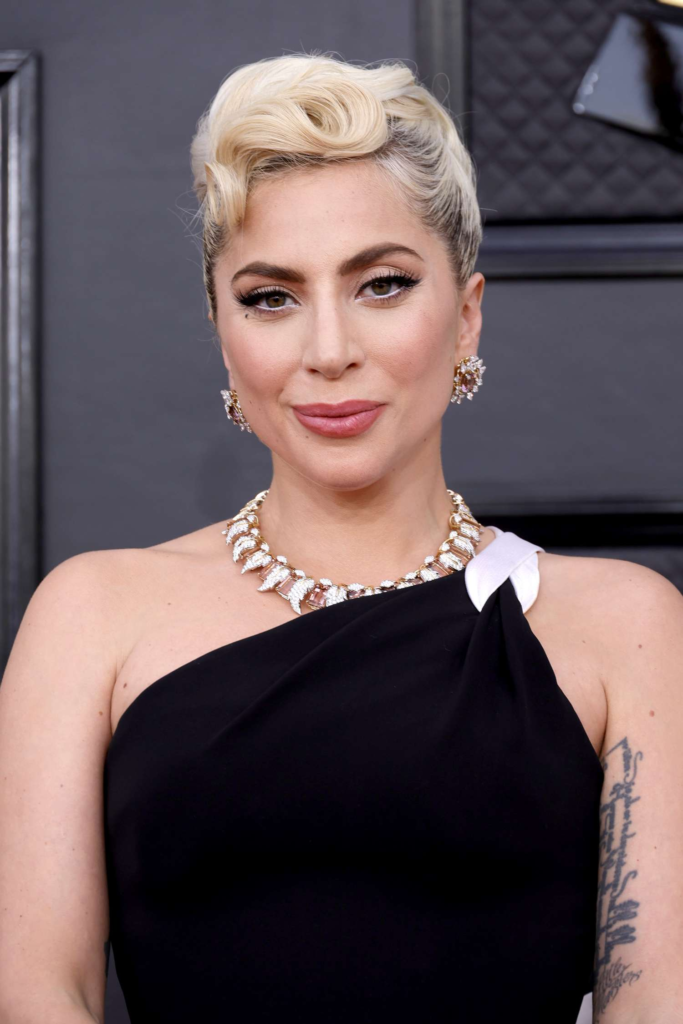 Lady Gaga Before Fame